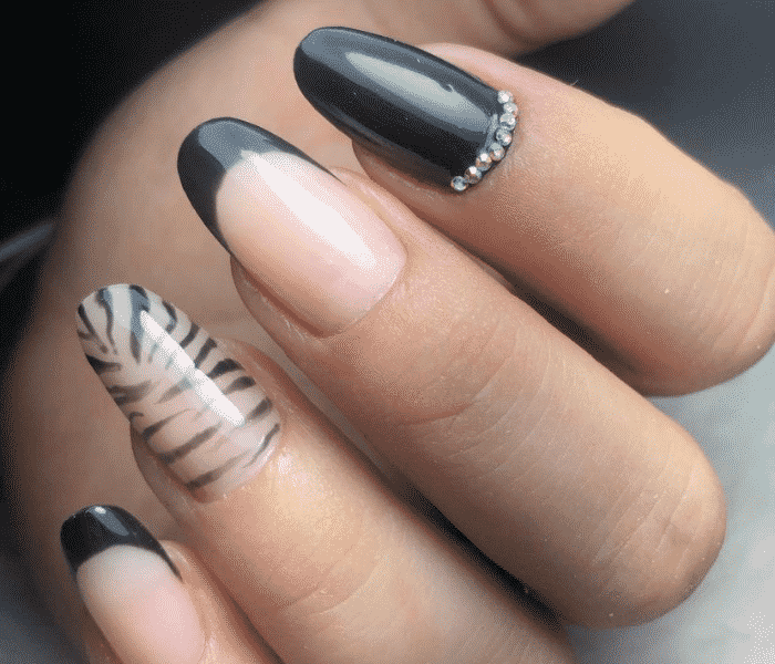 animal print zebra com pedras