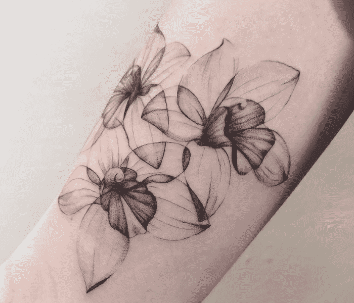 Desenho de orquídea