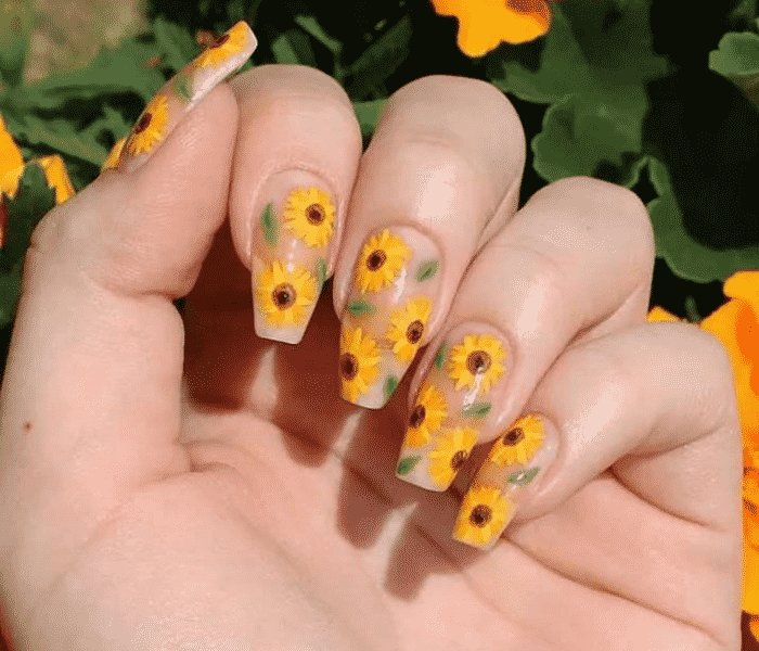 unhas de girassol