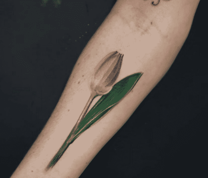 tatuagem Tulipa