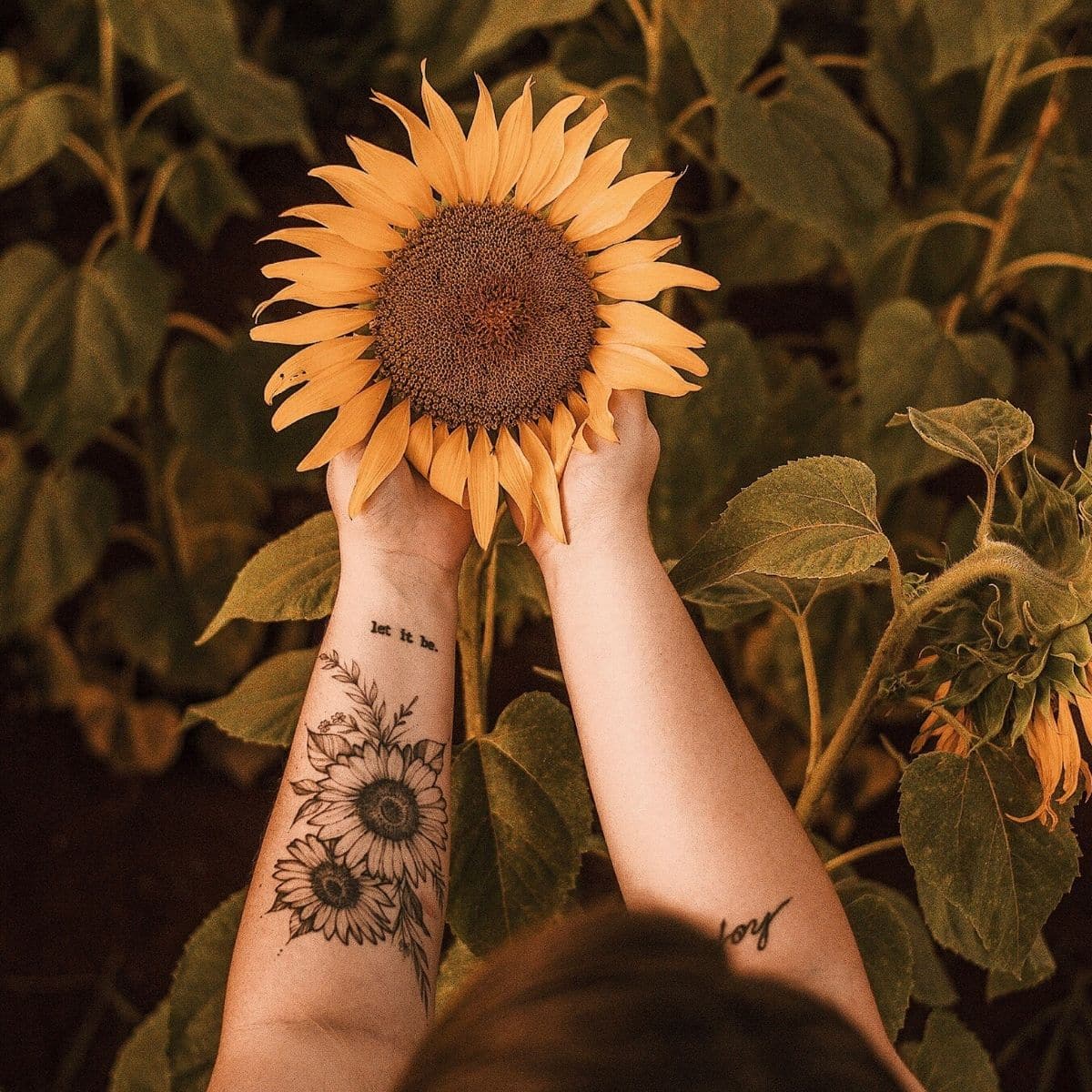 tatuagem de girassol